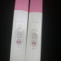 测了十天的排卵，一直都是这个样子的，一深一浅，十支测出来基本颜色都差不多，好苦恼啊。。。两杠颜色...