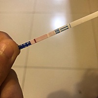 这是有还是没有啊