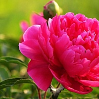 今天大年三十，一个人窝在被窝里看春晚。老公回老家过年了，一个人。不伤感。我有十周宝宝陪我过年。嘿...