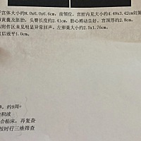 有会看能看出来男孩女孩嘛？