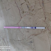 我想请问一下排卵试纸这样，什么时候安排同房合适？