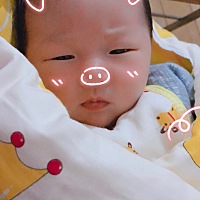 小棉袄白天睡的那叫一个香 晚上就开始来精神了😒