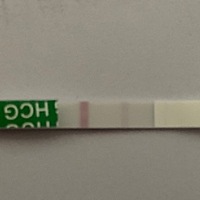 确定怀孕🤰吗？现在一条深一条浅怎么越来越退粉色（浅）呢，会不会没怀孕吧？我好担心呀。谢谢