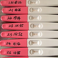 这是有没有强阳？？是哪天？？没看懂