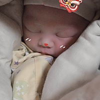 宝宝已经三天了，本来预产期是2月20号的，结果猪宝宝变狗宝宝2月3日提前出生啦！大年29赶着出来过年了�...