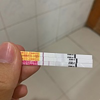 俩早早孕 一个排卵试纸 大家帮忙看看什么情况？1月14日末次月经，28号排卵。