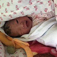 2月2日顺产出生，女公主一枚