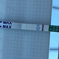 末次12号，排卵是27.28号，具体哪天我也不确定，今天早上测到了灰印子，希望继续加深