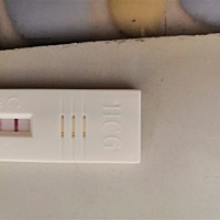 这是怀孕了么😳😳😳