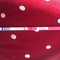 末次月经12.28，姨妈迟迟不来，感觉这个月彻底凉凉了，家里盼着见四辈儿，压力好大