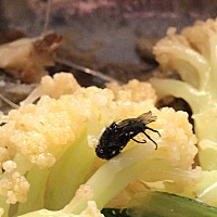 有得吃就不错了，毕竟这断时间也是无能为力