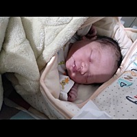 昨天顺转剖了，是个大胖小子。