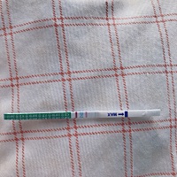 亲们，这是怀孕了嘛？