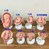 我的宝贝，终于三个月了，算是稳定了一点，没有人能知道你对麻麻的重要，从此以后麻麻的爱只想给你一人...