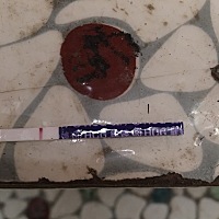 1月18号来的月经。。。现在测了几天了，都是白板，哎