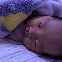 生完宝宝第8天了，每次喂奶疼的一身汗，痛的脾气特别不好。感觉快抑郁了，这两天我打算用乳头膏擦擦，等...