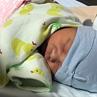 2019年2月6日 乙亥年正月初二下午14:41分 母子平安 我的嘟嘟[拥抱]