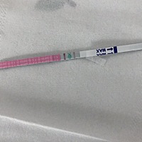 帮我看一下是否怀孕了  求助