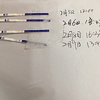 这种什么意思呀 软件说今天排卵 但是看不懂这个 ……帮帮忙