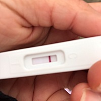 亲们，T区显示白印到底怀孕了没啊？在线等，急急急