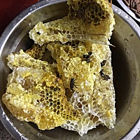 宝宝出生时家里来了一窝蜂，现在都有些蜜了，真好，都说家旺才会有蜜蜂来，希望宝宝是个有福气的宝宝