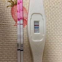 末次月经12月16号，这是怀了还是没怀？看不懂