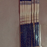 这样看会不会清楚一点  现在是排卵期没到？还是已过啊？