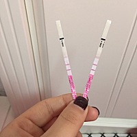 软件测的2月3号排卵期，这是排卵了吗？