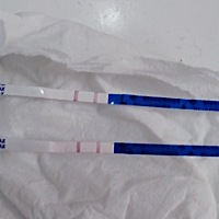 才怀孕，味口不要太好，二宝，来个猪宝宝😊