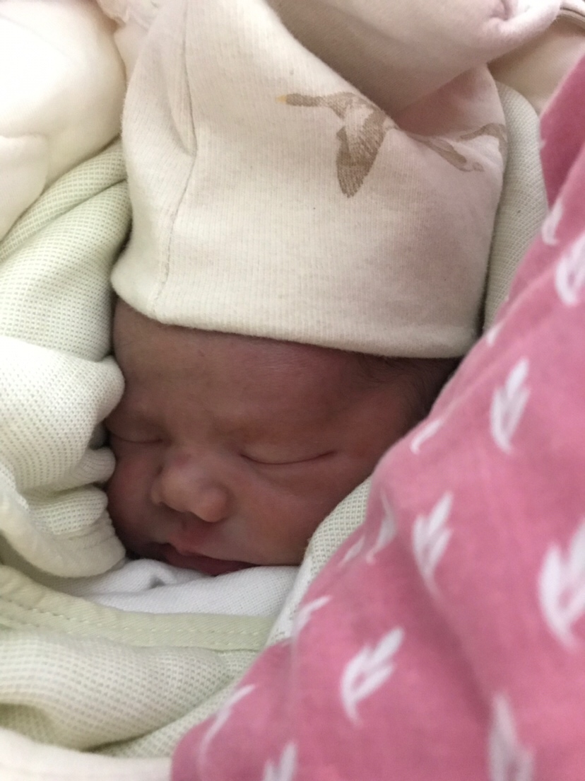 我家猪宝宝终于熬过了年，提前破羊水，没发动zhim