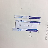 刚开始都很淡，放了一会就是这样，左边两根是今天测的，右边都是昨天测的，准不准呀，是不是有了？