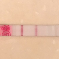 我想问一下，这怎么解释呢？是已经排卵了，还是没排呢？