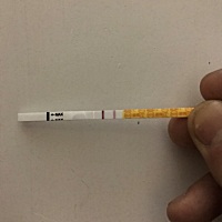 求帮忙看看中了吗？ 大家好，图片于2.10、11、12号三天早上测试拍照的，次未月经期是1月10号，周期是29...