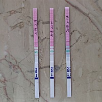 连续3天排卵试纸测出来这样，这是已经排卵了还是还没有排卵？