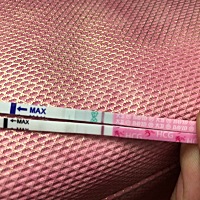 我觉得在上上个月的炸胡后，这个月应该是真中了，除夕夜种上的缘分，意义深远哦。上面是昨晚用秀儿早孕...