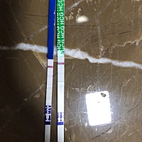 今晚测得，大概20分钟后出现的杠，应该16号来月经，还有3天，能不能是太紧张假孕反应呢