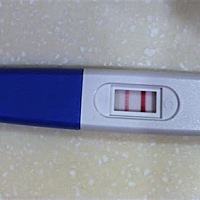 帮个忙看看 什么情况啊 看不懂