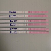 有小姐妹用排卵试纸测过一整个周期的么？从白板到弱阳大概几天后会变成强阳？强阳后弱阳阶段又会持续多...