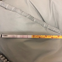 排卵第十一天，用大卫早孕还是白板，用排卵试纸测双杠明显，比前面两天深很多了。这样还是有很大希望的...