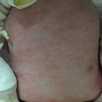 这是什么。好害怕