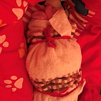 不是自己坐月子，小孩碰都不要给婆子碰，我宝宝每天这样绑着
