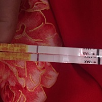 末次月经是一月二十四号，帮忙看看是不是有两条线，想去医院抽血会不会太早！