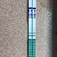 备孕中，末次月经1.6，至今为止还没来，平常经期也较正常。