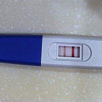 有没有怀孕两个月左右在杭州医院检查过的美女呀，能不能发下你们的检查报告给我看看，谢谢啦