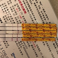求助、最后一个是不是属于最强了、是不是排卵期高峰期？