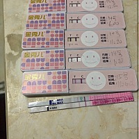 情人节14号那天排卵的有没有？一起等结果