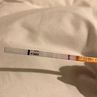 前天都没有.今天这是有了吗.？