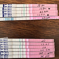 前两个月的排卵试纸，一直也没有那种强阳，能看出来卵泡有什么问题吗