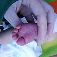 预产期2.25，2.11无见红，无破水，频率阵痛三小时去医院开指8公分，直接进产房生娃，女宝，6.3斤，孕期...