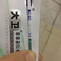 昨天测的和今天测的、大家帮忙看看 上面的是昨天测的、下面的是今天测的，都不太明显